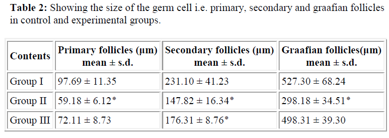 biomedres-secondary-graafian-follicles-experimental-groups