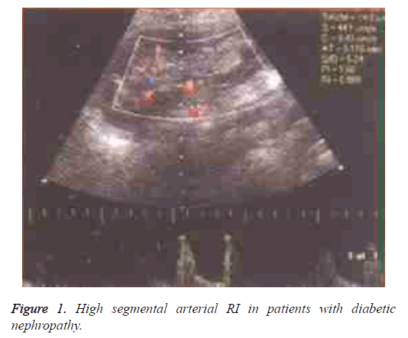 biomedres-segmental-arterial