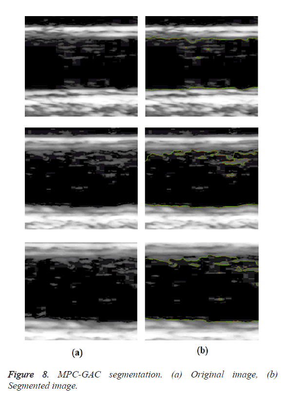 biomedres-segmentation