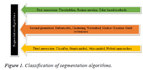 biomedres-segmentation-algorithms