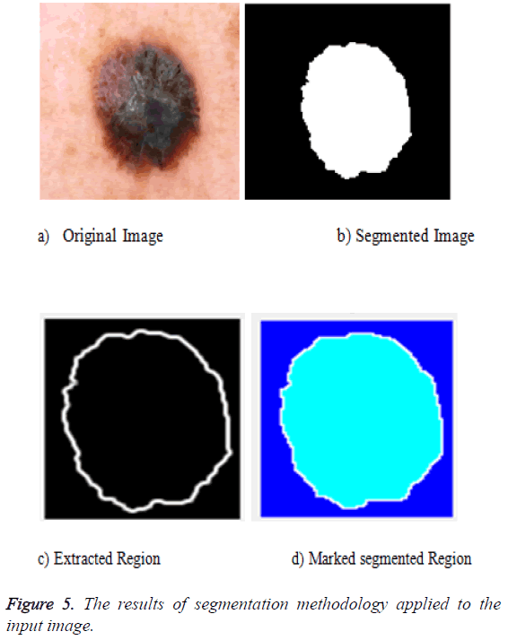 biomedres-segmentation-methodology