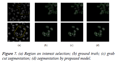 biomedres-segmentation-proposed