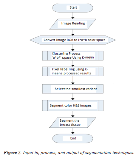 biomedres-segmentation-techniques