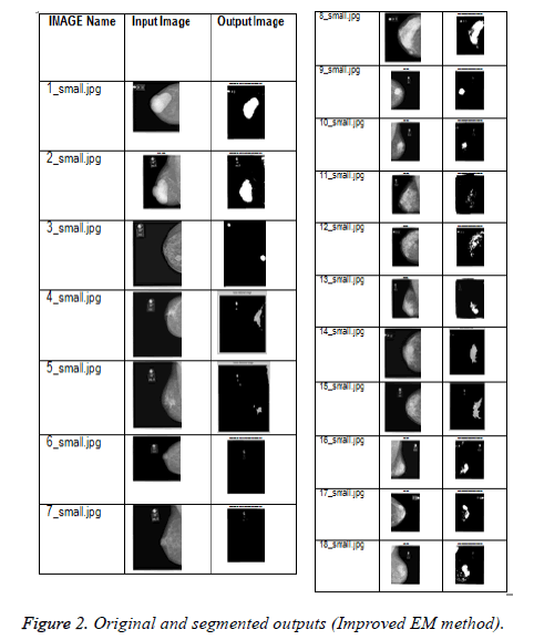 biomedres-segmented-outputs