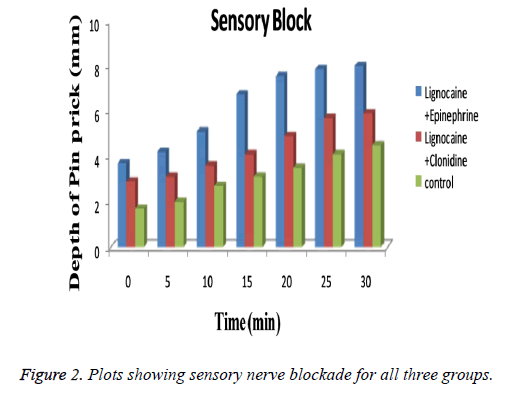 biomedres-sensory-nerve-blockade