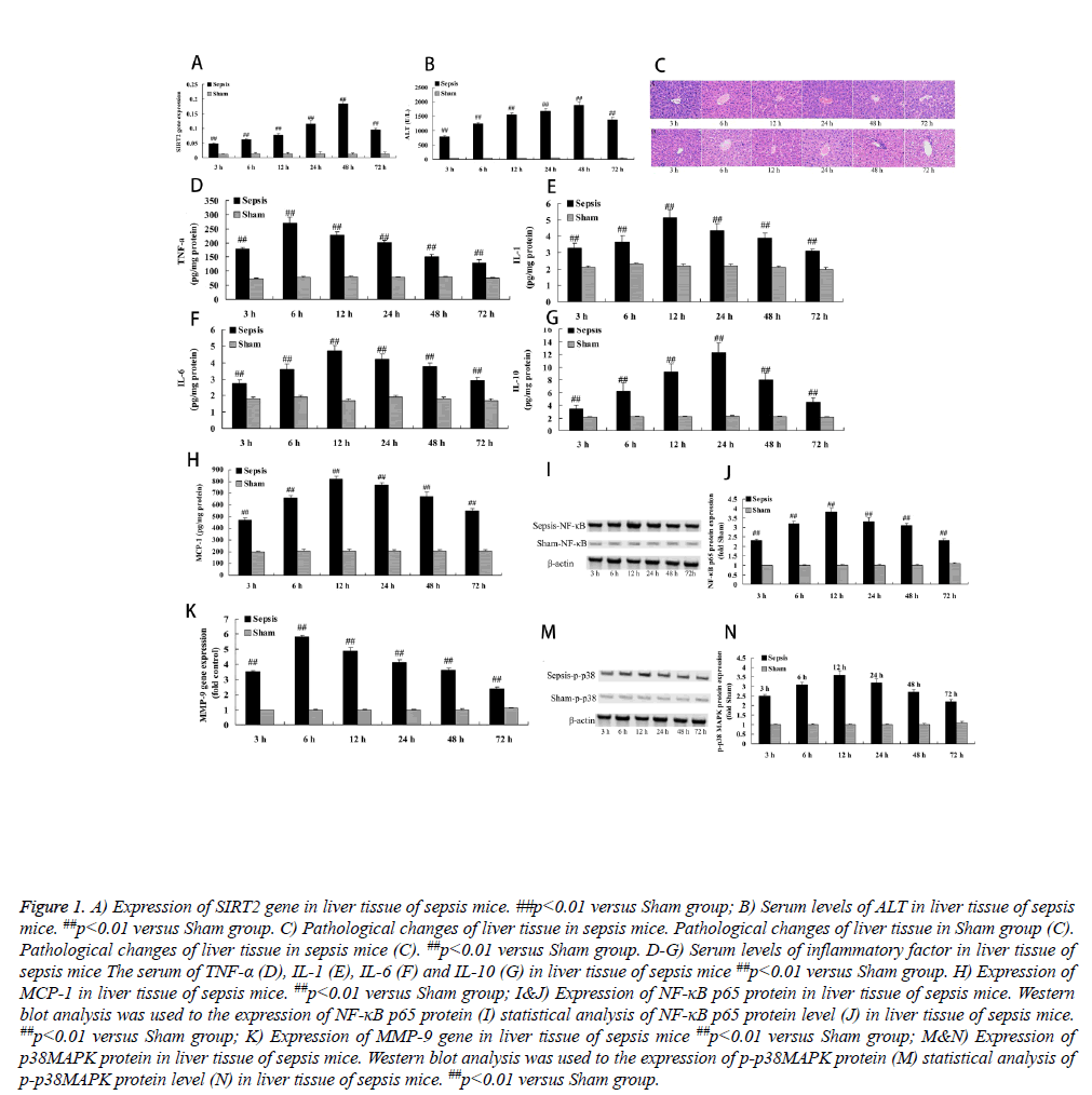 biomedres-sepsis-mice