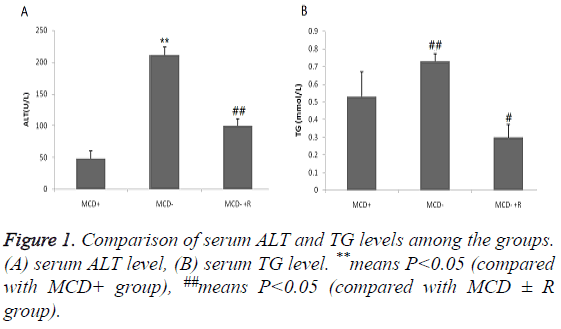 biomedres-serum-ALT-TG-levels