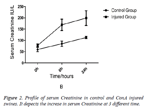 biomedres-serum-Creatinine