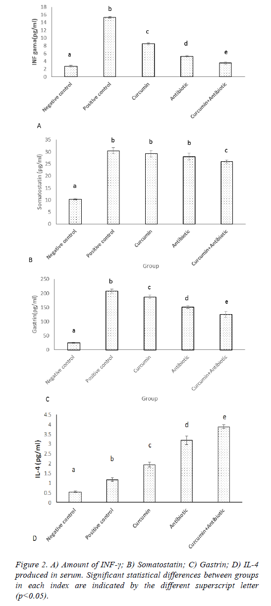 biomedres-serum-antibody