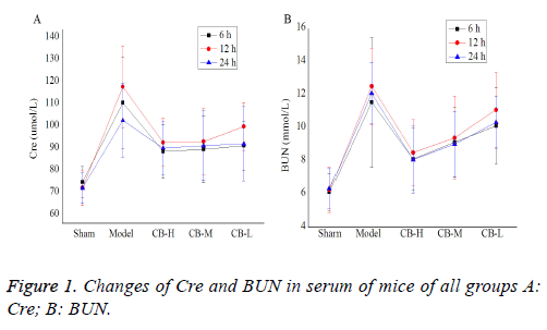 biomedres-serum-mice