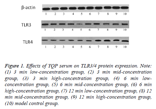 biomedres-serum-protein