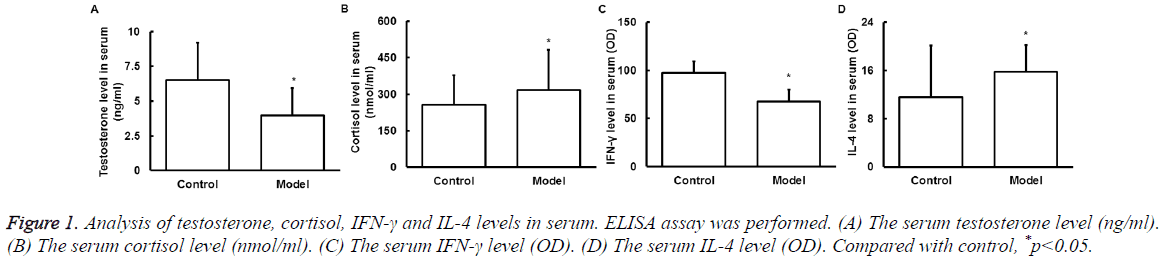 biomedres-serum-testosterone