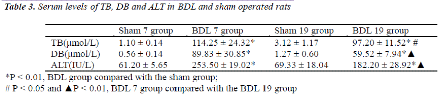 biomedres-sham-operated