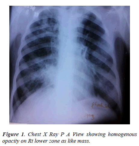 biomedres-showing-homogenous