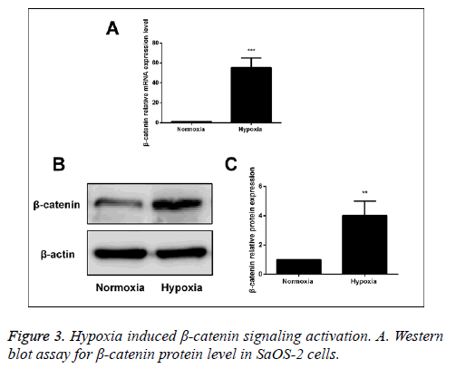 biomedres-signaling-activation