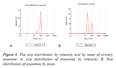 biomedres-size-distribution