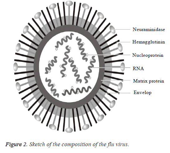 biomedres-sketch-composition