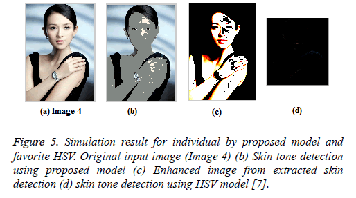 biomedres-skin-HSV-model