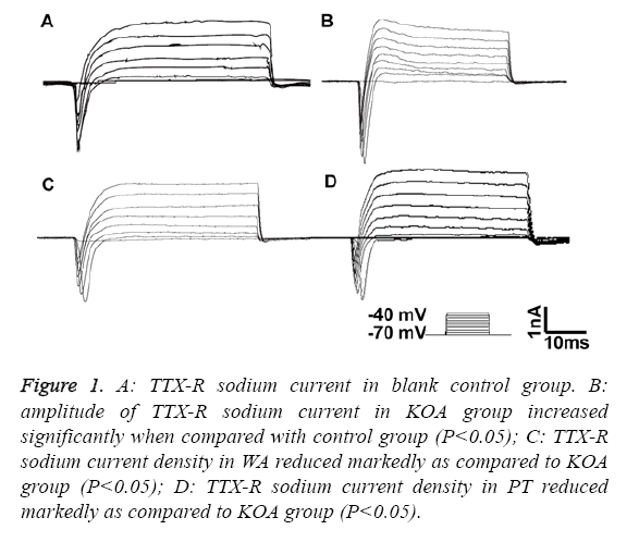 biomedres-sodium-current