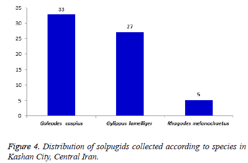 biomedres-solpugids-collected