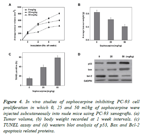 biomedres-sophocarpine-inhibiting