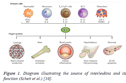 biomedres-source-function