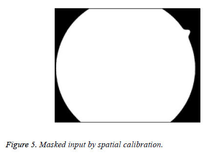 biomedres-spatial-calibration