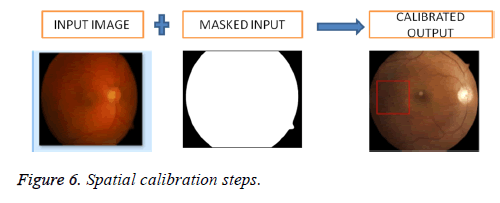 biomedres-spatial-calibration