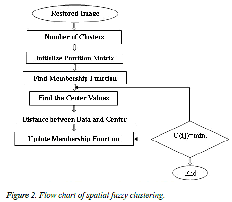 biomedres-spatial-fuzz-clustering