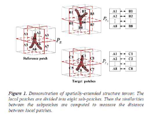 biomedres-spatially-extended