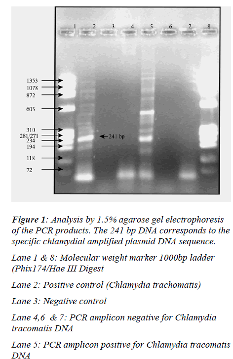 biomedres-specific-chlamydial-amplified-plasmid