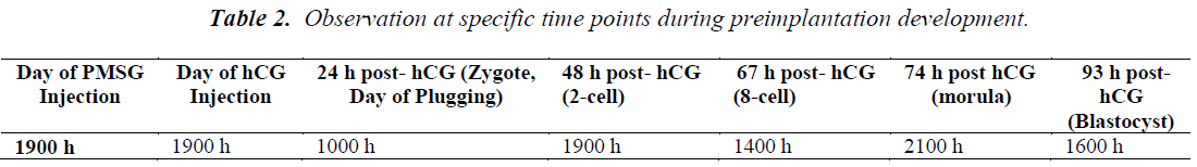 biomedres-specific-time-points-during-preimplantation