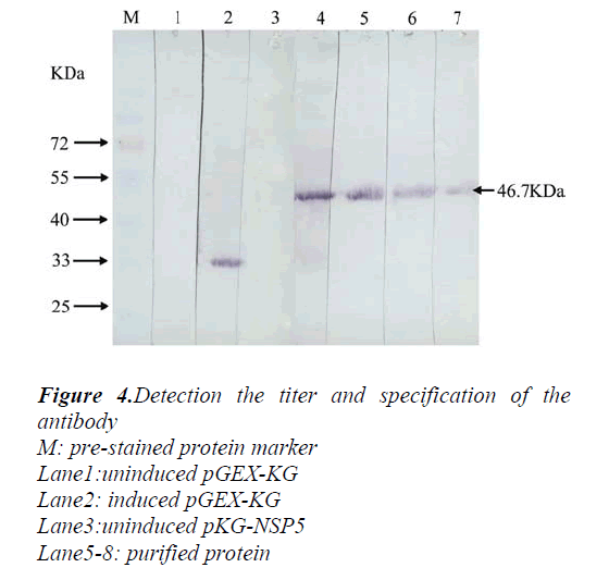 biomedres-specification