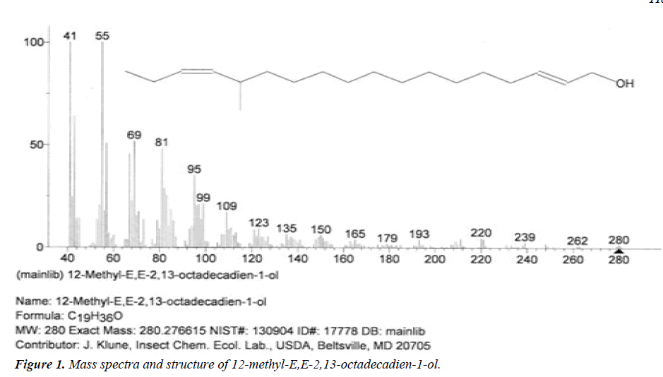 biomedres-spectra-structure