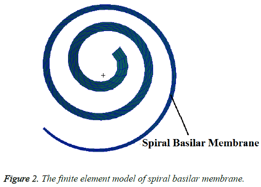 biomedres-spiral-basilar