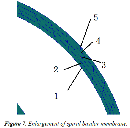 biomedres-spiral-basilar