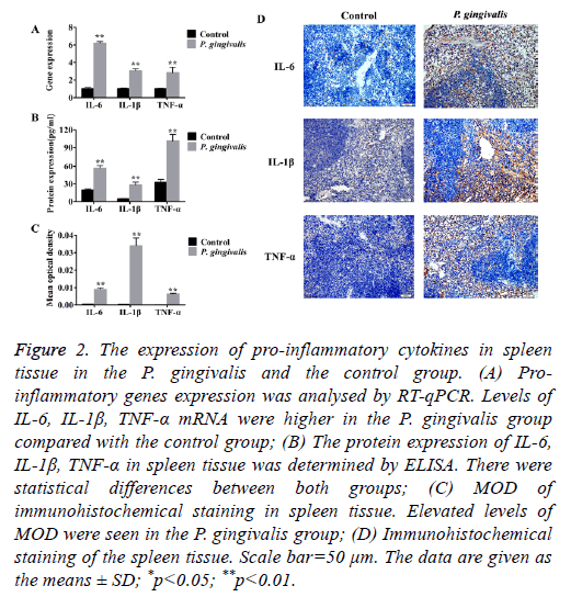 Effects on the expression of pro-inflamm | Biomedical Research