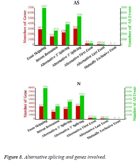 biomedres-splicing-genes