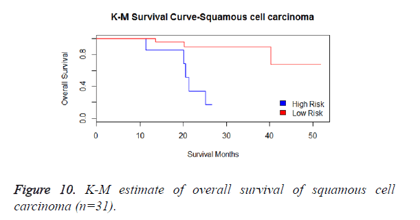 biomedres-squamous-cell