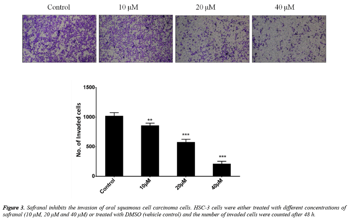 biomedres-squamous-cell-carcinoma