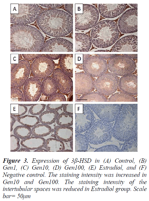 biomedres-staining-intensity