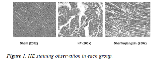 biomedres-staining-observation