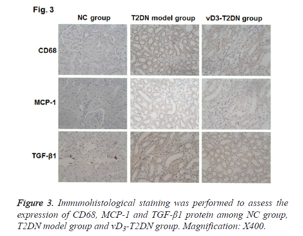 biomedres-staining-performed