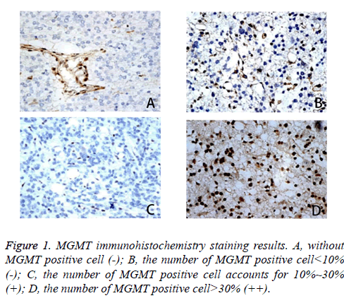 biomedres-staining-results