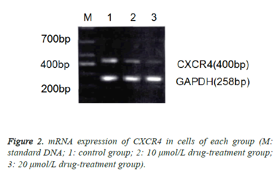 biomedres-standard-DNA