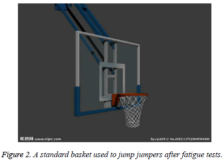 biomedres-standard-basket