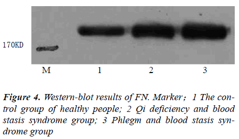 biomedres-stasis-syndrome-group