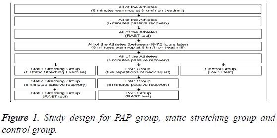 biomedres-static-stretching-group