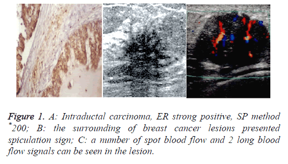 biomedres-strong-positive