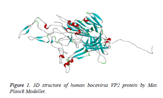 biomedres-structure-human